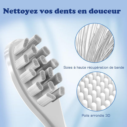 Kopieren Sie Têtes de Brosse à Dents Electrique Compatible mit, 6 Têtes de Brosse kompatible mit Brosse à Dents electriques Meine Tête de Rechange Brossettes (weiß) 